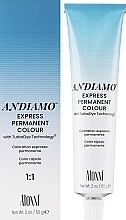 Permanente Haarfarbe - Aloxxi Andiamo Express Permanent Color — Bild N2