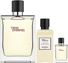 Hermes Terre d'Hermes - Duftset (Eau de Toilette 100ml + Eau de Toilette 5ml + Duschgel 40ml)  — Bild N2