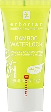 Düfte, Parfümerie und Kosmetik Feuchtigkeitsspendende Gesichtsmaske mit Fülleffekt & Bambusextrakt - Erborian Bamboo Waterlock Mask