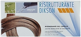 Düfte, Parfümerie und Kosmetik Regenerierendes Haarpräparat mit glättender und leicht kämmbarer Wirkung - Dikson Ristrutturante