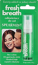 Düfte, Parfümerie und Kosmetik Erfrischendes Mundspray mit grüner Minze - Fresh Breath
