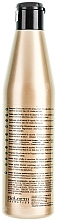 Aktiv-Shampoo für fettiges Haar - Salerm Linea Oro Shampoo Antigrasa — Bild N2