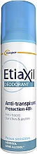 Deospray Antitranspirant 48 Stunden Schutz - Etiaxil Anti-Perspirant Deodorant Protection 48H Aerosol — Bild N1