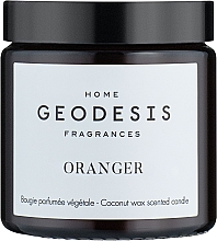 Düfte, Parfümerie und Kosmetik Geodesis Orange Tree - Duftkerze