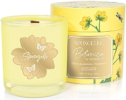 Düfte, Parfümerie und Kosmetik Duftkerze - Spongelle Botanica Hand Poured Candle Petitgrain