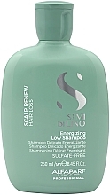 Düfte, Parfümerie und Kosmetik Energitisierendes Shampoo gegen Haarausfall mit Leinsamenextrakt - Alfaparf Semi Di Lino Scalp Renew Energizing Low Shampoo