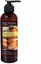 Düfte, Parfümerie und Kosmetik Revitalisierendes Haarshampoo - Diar Argan Repair Nourishing Shampoo