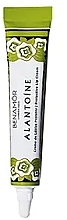 Düfte, Parfümerie und Kosmetik Lippencreme mit Allantoin - Benamor Alantoine Lip Cream 