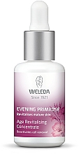 Düfte, Parfümerie und Kosmetik Festigendes Aufbau-Konzentrat für das Gesicht - Weleda Evening Primrose Age Revitalising Concentrate