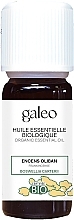 Düfte, Parfümerie und Kosmetik Ätherisches Bio-Weihrauchöl - Galeo Organic Essential Oil Boswellia Carterii