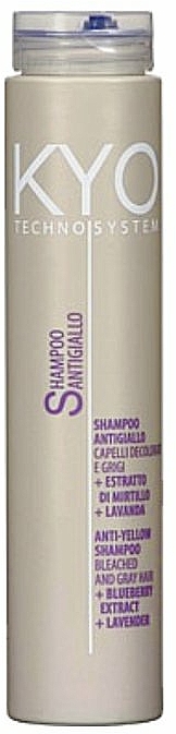 Anti Gelbeffekt Silber Shampoo für aufgehelltes, graues Haar - Kyo Techno System Anti-Yellow Shampoo — Bild N1