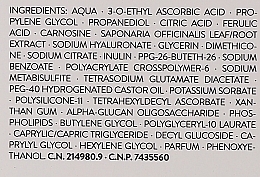 Antioxidationsserum mit Vitamin C 15 % - Babe Laboratorios  — Bild N3