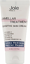 Revitalisierende Lamellenbehandlung mit Vitamin C und Centella - Jole Lamellar Treatment Calms Redness Barrier Repaire — Bild N1