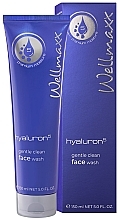Düfte, Parfümerie und Kosmetik Gesichtsreinigungscreme - Wellmaxx Hyaluron5 Gentle Clean Face Wash (Tube) 