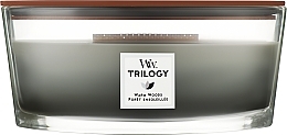 Düfte, Parfümerie und Kosmetik Duftkerze im Glas Warm Woods - Woodwick Hearthwick Flame Ellipse Trilogy Candle Warm Woods