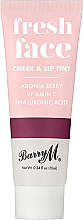 Düfte, Parfümerie und Kosmetik Tinte für Lippen und Wangen - Barry M Fresh Face Cheek & Lip Tint