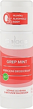 Natürliches Bio-Deodorant Grapefruit und Minze - Saloos Grep Mint Deodorant — Bild N1