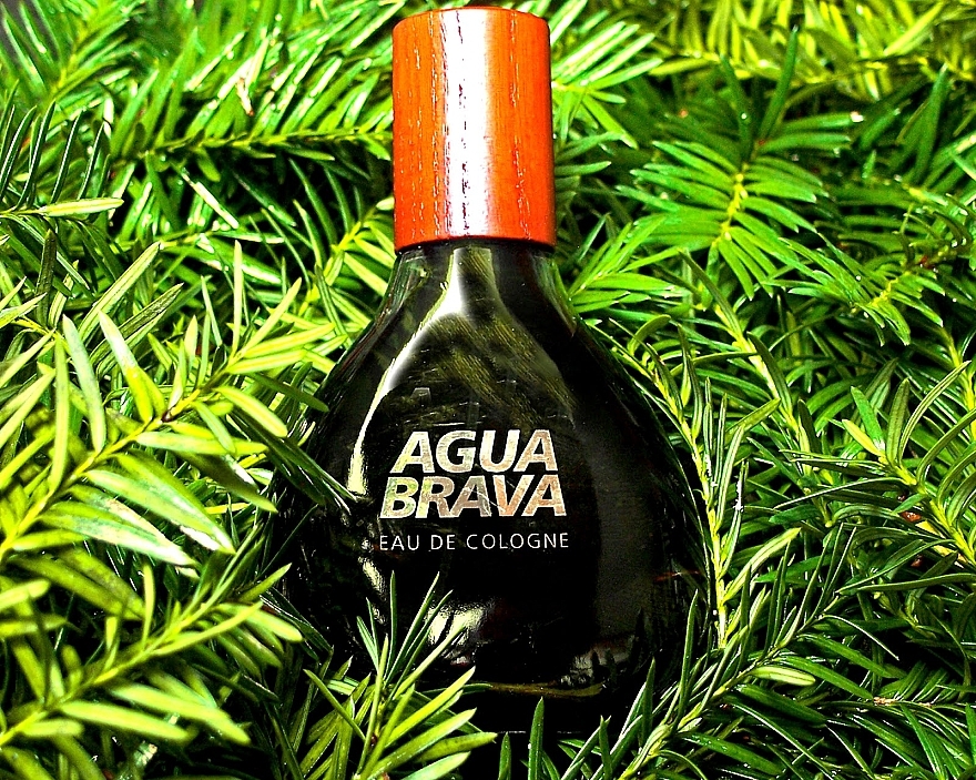 Antonio Puig Agua Brava - After Shave Lotion — Bild N2