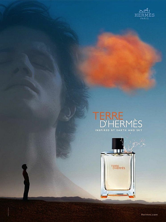 Hermes Terre dHermes - Deostick  — Bild N3