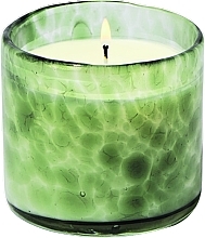 Düfte, Parfümerie und Kosmetik Duftkerze im Glas - Paddywax Luxe Hand Blown Bubble Glass Candle Green Tabac & Pine