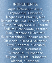 Natürliches Deospray - Salt of the Earth Ocean & Coconut Spray — Bild N2