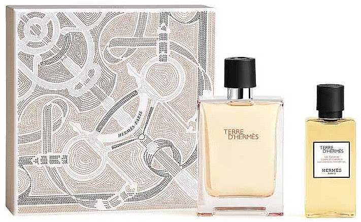 Duftset (Eau de Toilette 100ml + Duschgel 80ml)  - Hermes Terre d’Hermes  — Bild N1