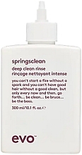 Düfte, Parfümerie und Kosmetik Tiefenreinigungscreme für lockiges Haar - Evo Springsclean Deep Clean Rinse