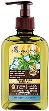 Düfte, Parfümerie und Kosmetik Mizellen-Reinigungsgel gegen 5 Hautprobleme - Green Collection