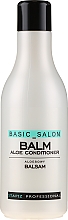 Düfte, Parfümerie und Kosmetik Haarspülung mit Aloe Vera - Stapiz Professional Basic Salon Aloe Conditioner Balm