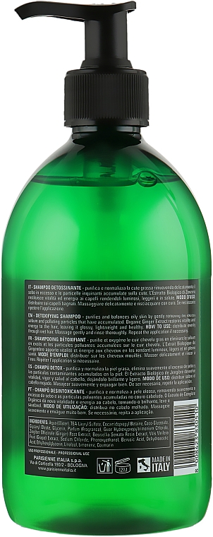 Tiefenreinigendes Shampoo - Parisienne Italia Evelon Pro Nutri Elements Detox Shampoo Organic Ginger — Bild N2