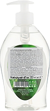 Flüssigseife mit Hanf-, Kokosnuss- und Limettenextrakt - Dead Sea Collection Hemp & Coconut Lime Hand Wash with Natural Dead Sea Minerals — Bild N2