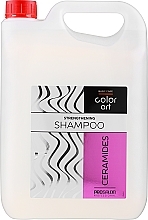 Stärkendes Haarshampoo mit Ceramiden - Prosalon Basic Care Color Art Strengthening Shampoo Ceramides — Bild N3