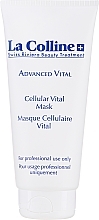 Düfte, Parfümerie und Kosmetik Gesichtsmaske - La Colline Advanced Cellular Vital Mask