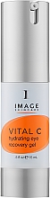 Intensiv feuchtigkeitsspendendes Augengel - Image Skincare Vital C Hydrating Eye Recovery Gel — Bild N1