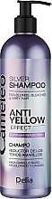 Düfte, Parfümerie und Kosmetik Anti-Gelb-Shampoo für blones, gebleichtes und graues Haar - Delia Cosmetics Cameleo Silver Shampoo