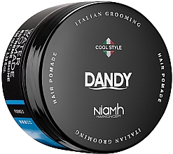 Düfte, Parfümerie und Kosmetik Modellierende und glänzende Haar- und Bartpomade Fixierstufe 3 - Niamh Hairconcept Dandy Extreme Shine Water Pomade