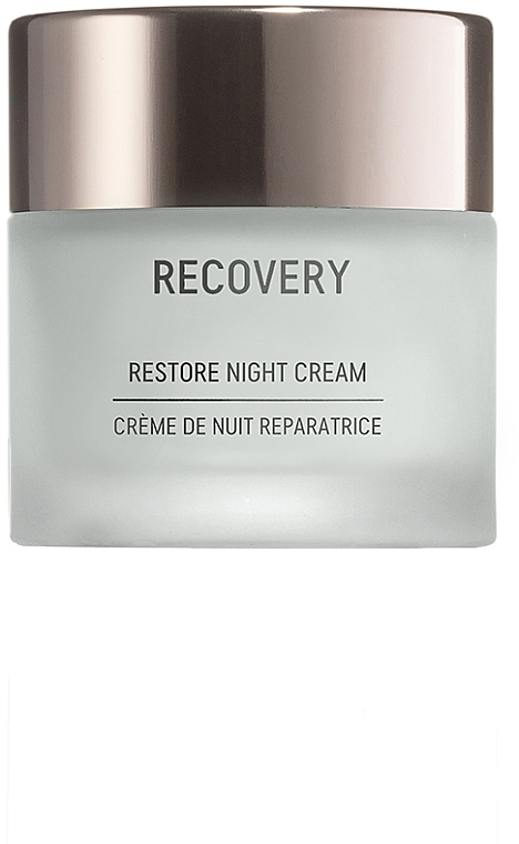 Regenerierende Nachtcreme - Gigi Recovery Restoring Night Cream — Bild N1