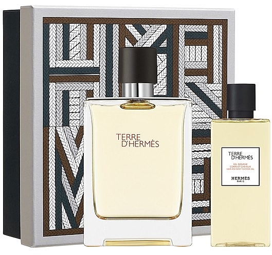 Hermes Terre d'Hermes - Duftset (Eau de Toilette 100ml + Duschgel 80ml)  — Bild N1