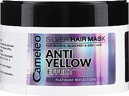Düfte, Parfümerie und Kosmetik Regenerierende Haarmaske gegen Gelbstich für blondes, gebleichtes und graues Haar - Delia Cameleo Silver Hair Mask