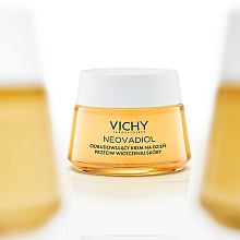 Regenerierende Lifting-Tagescreme gegen Erschlaffung für die Haut nach der Menopause - Vichy Neovadiol Replenishing Anti-Sagginess Day Cream — Bild N7