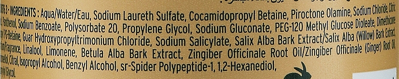 Anti-Schuppen Shampoo mit Ingwer- und Seidenproteinen für trockene und schuppige Kopfhaut - The Body Shop Ginger Shampoo Anti-Dandruff Vegan — Bild N5