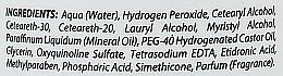 Oxidationsmittel-Emulsion 20 Vol.6 % - KayPro Super Kay Oxidising Emulsion — Bild N3