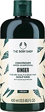 Conditioner gegen Schuppen - The Body Shop Ginger Anti-Dandruff Conditioner — Bild N1