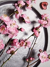 Körpermilch Sakura-Blume - Nivea — Bild N5