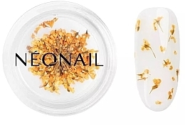 Trockenblumen zur Nageldekoration - NeoNail Professional  — Bild N2