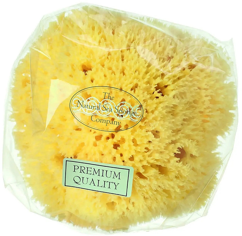 Natürlicher Meeresschwamm 12.7 cm - Hydrea London Honeycomb Sea Sponge Premium Quality — Bild N1
