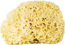 Düfte, Parfümerie und Kosmetik Natürlicher Badeschwamm gelb 9,5 cm - Hhuumm 04H Natural Sponge