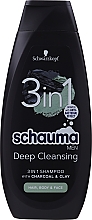 3in1 Shampoo mit Aktivkohle und Lehm für Gesicht, Körper und Haar - Schwarzkopf Schauma Men 3 in 1 Shampoo — Bild N1
