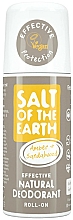 Düfte, Parfümerie und Kosmetik Natürliches Deo Roll-on - Salt of the Earth Amber & Sandalwood Natural Roll-On Deo