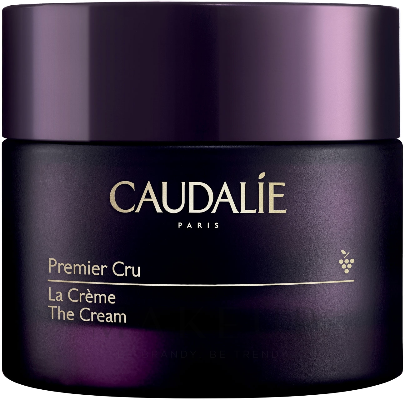 Anti-Aging-Gesichtscreme mit Hyaluronsäure und Viniferin - Caudalie The Cream Premier Cru — Bild 50 ml
